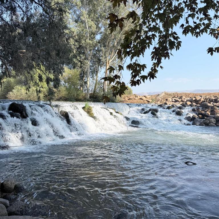 a waterfall on a river with trees in the background at The Roof in Kfar Blum