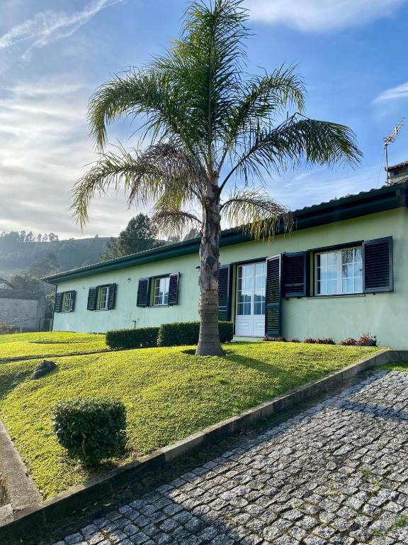 a palm tree in front of a house at Casa Cataleia VILLA INN in Ponte de Lima