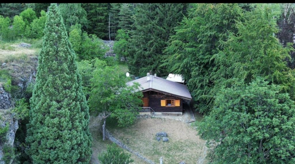 a small cabin in the middle of a forest at Baita immersa nel verde in Salabertano