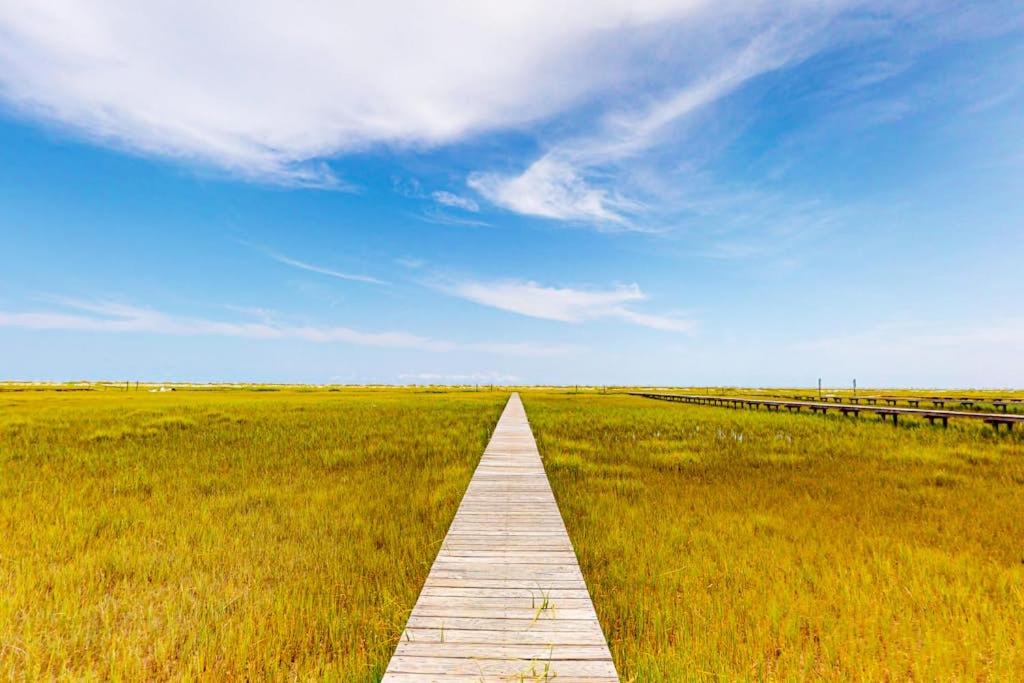 a wooden pathway through a field with a blue sky at Pink Bird Cottage in Edisto Beach