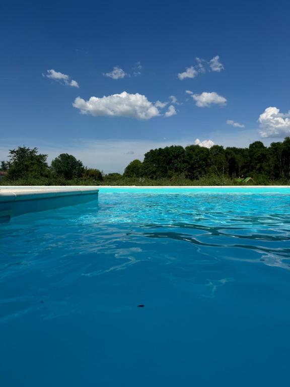 a swimming pool with blue water and trees in the background at Les nids de la chevêche in Saint-Pierre-de-Juillers