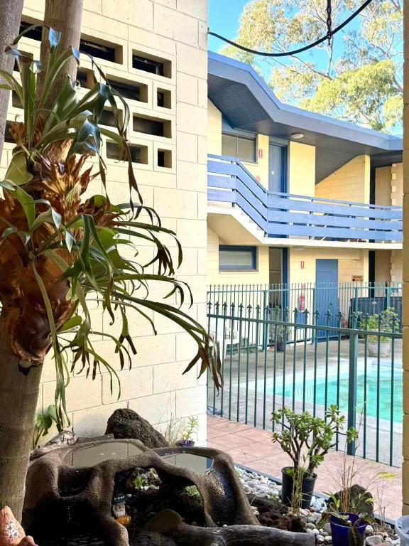 a building with a swimming pool in front of a building at Pathfinder Motel in Melbourne
