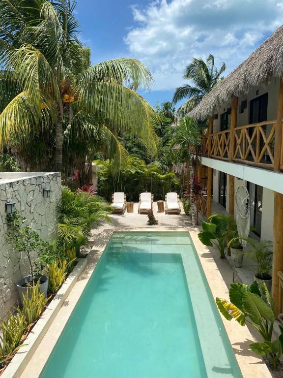 a pool in the backyard of a house with palm trees at Casa Baloo in El Cuyo