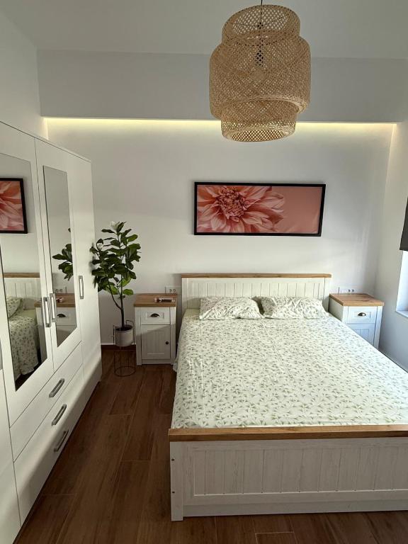 DownTown Small Apartment 3