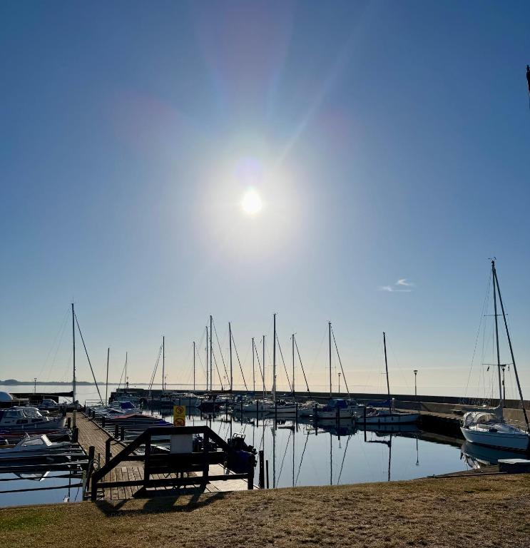 a group of boats docked at a marina at Gästhus Abbekås in Abbekås