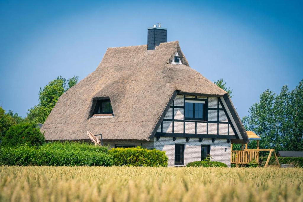 a house with a thatched roof in a field at Reetdachhaus Laurin in Dranske in Dranske