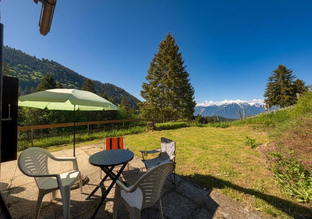 a table with chairs and an umbrella on a field at Chalet 1813 Nature & Panorama in Montreux