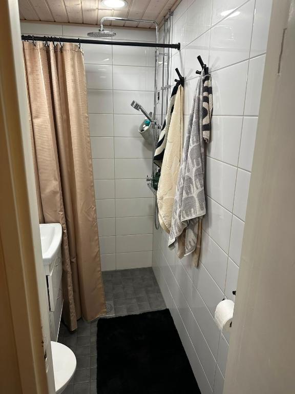 a bathroom with a shower and a toilet and a sink at Kotikolo in Pori