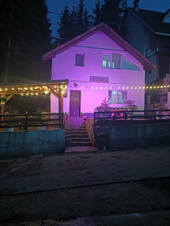 a house lit up with purple lights at night at Acasă la Cutuca in Ranca
