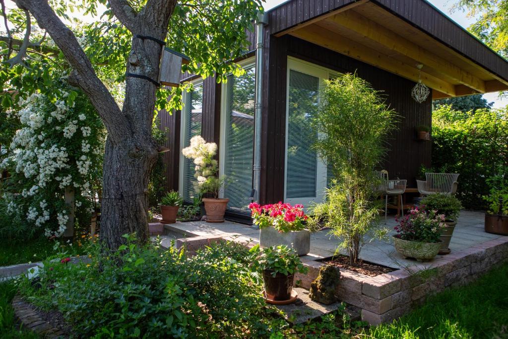 a porch of a house with potted plants at B&B Le Maitre in Renkum