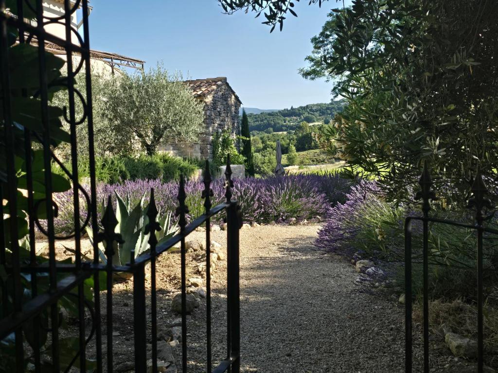 a gate in a garden with purple flowers at Mas Cerisiers in Saint-Martin-de-Castillon