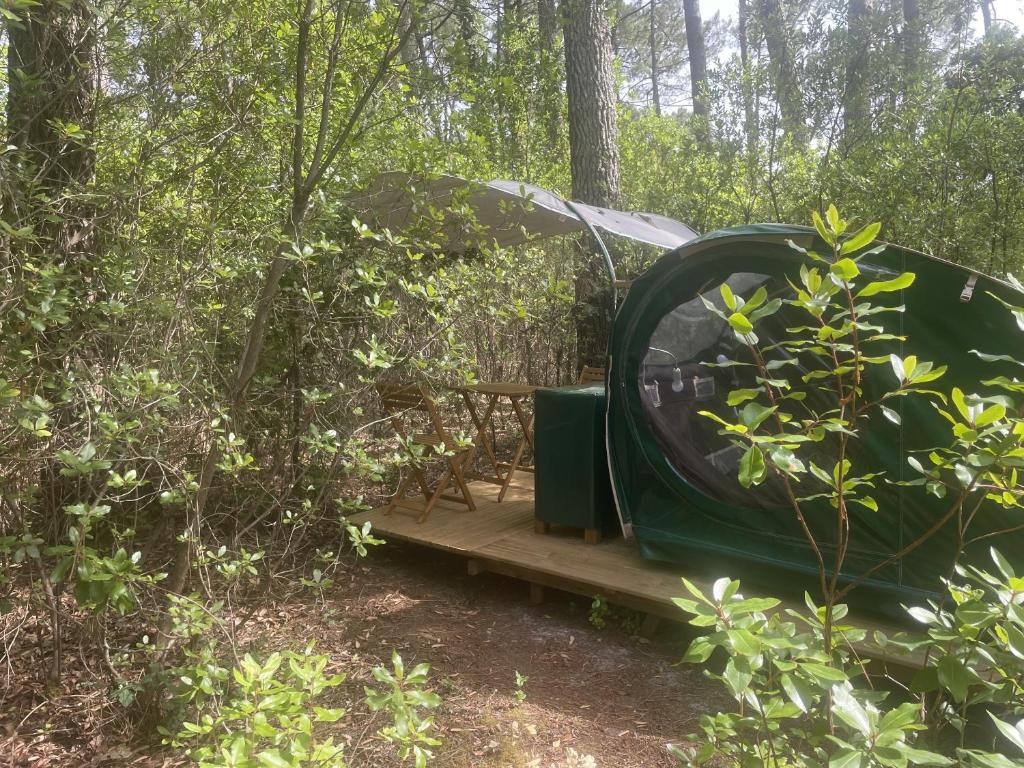 a tent in the woods with a wooden ramp at Lo Rey du Lac in Soorts-Hossegor