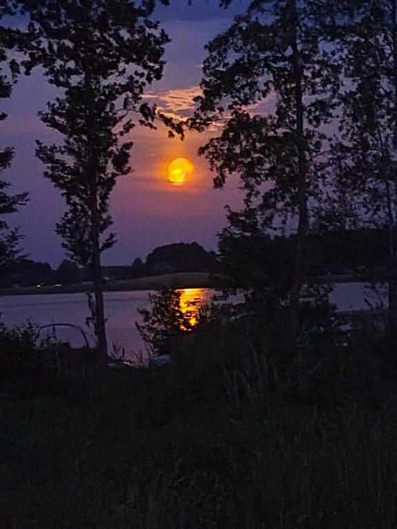 a sunset over a body of water with trees at Pod Wierzba in Dobrzyki