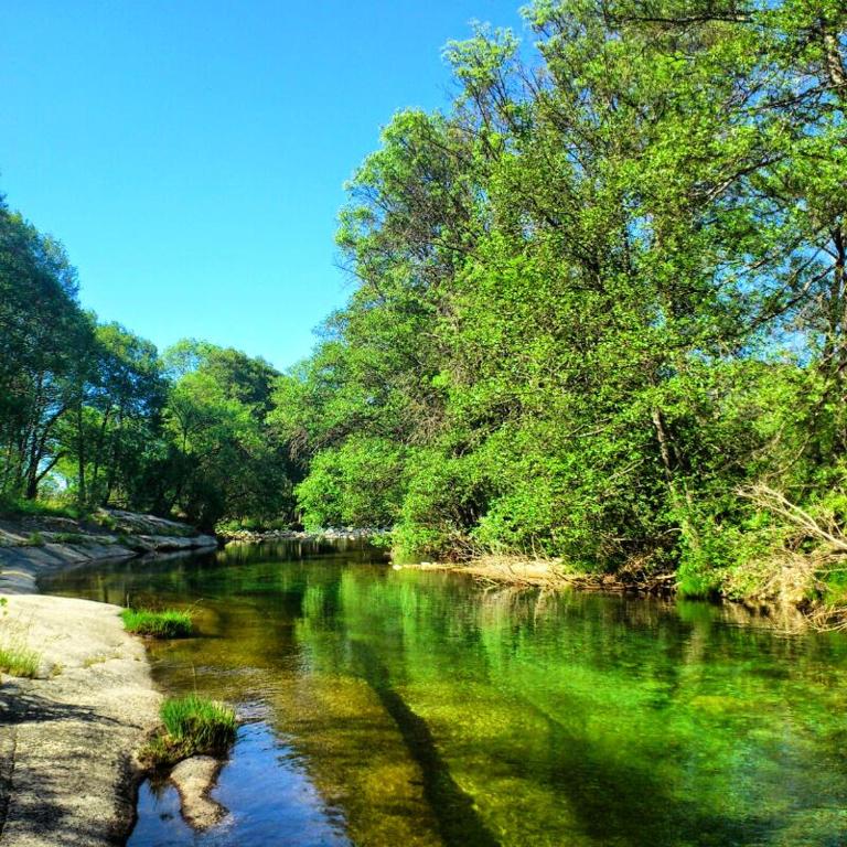 a river with green trees on the side of it at Casa Rural Las Chorreras in Navalguijo