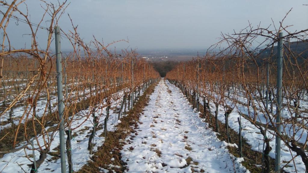 Vár-Lak v zime