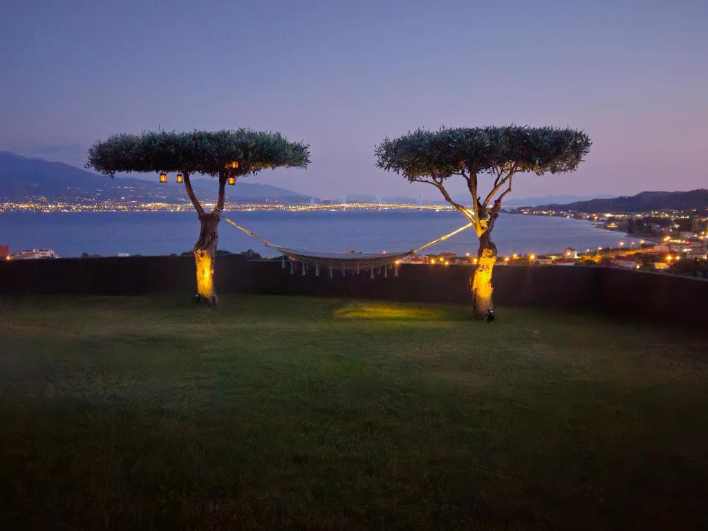two trees with lights in a field at night at BELLE VUE in Palaiá Panayía