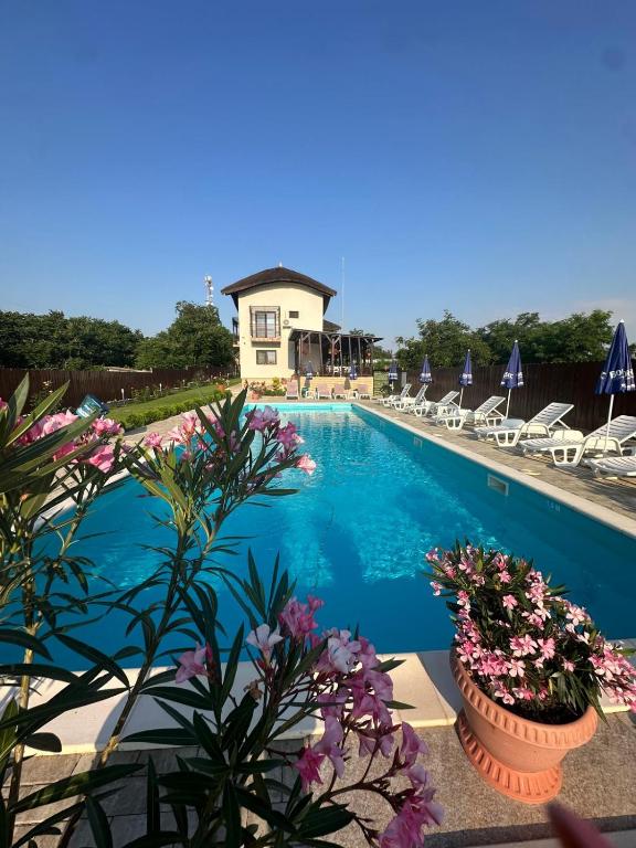 a swimming pool with chairs and flowers and a house at Pensiunea Acvila in Dunavăţu de Jos