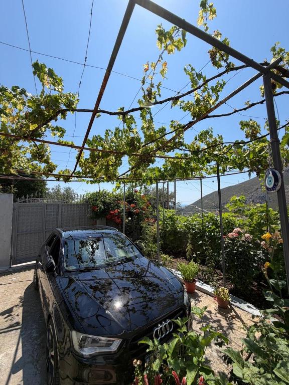 a black car parked in a garden at Ledi’s Home in Borsh