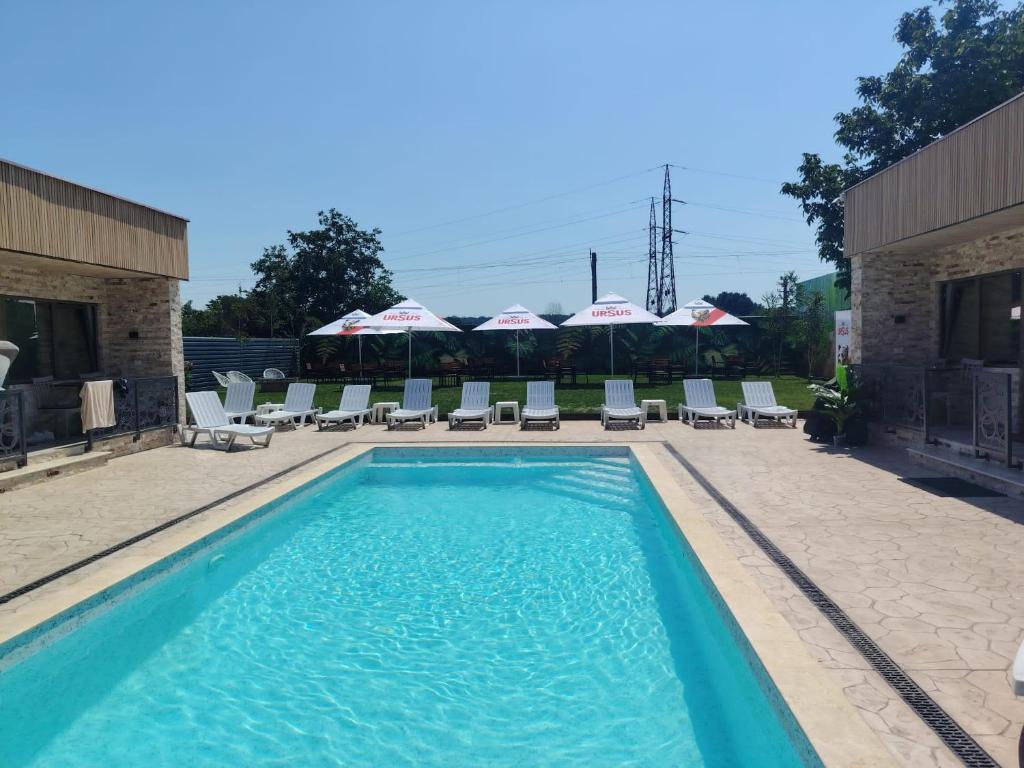 a swimming pool with chairs and umbrellas at Sofia Armony in Iezureni