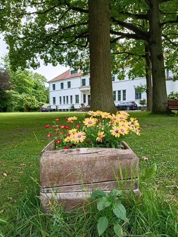 a stone planter with flowers in front of a tree at Ferien am Schloss - Wohnung 3 "die Katze", Ferienwohnung am Badesee in Behren-Lübchin