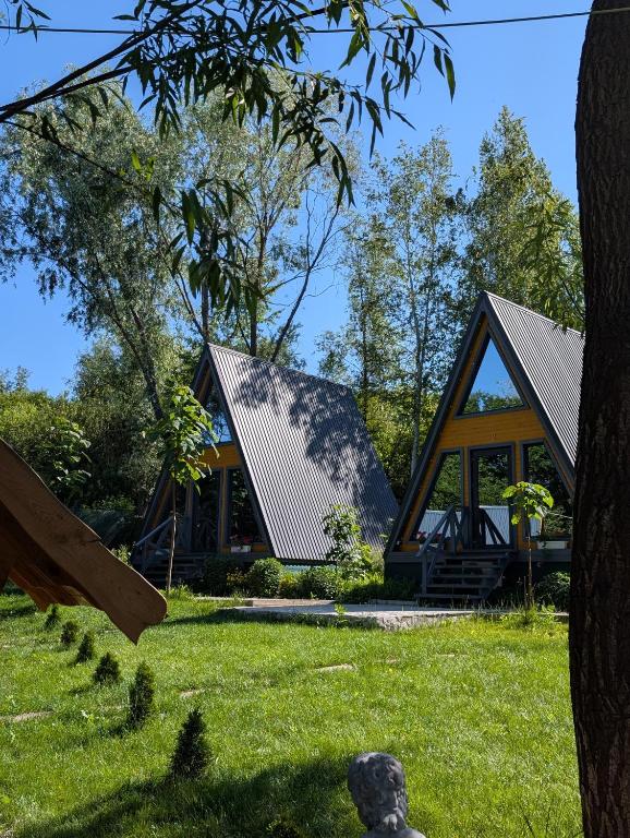 a house with a metal roof in the grass at Hanul Haiducilor in Şendreni
