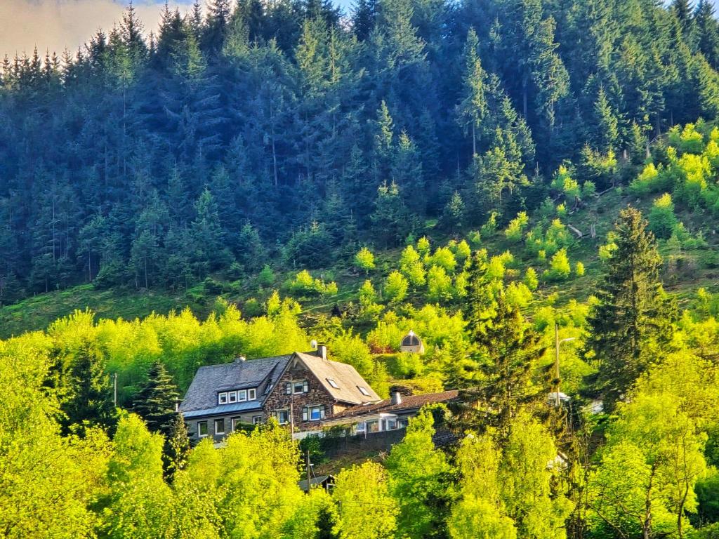 a house in the middle of a forest at Ferienwohnungen Dorfliebe Dörnberg in Bestwig