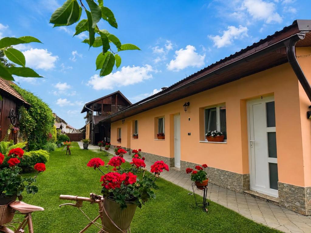 a house with red flowers in the yard at Pensiunea Denis in Cârțișoara