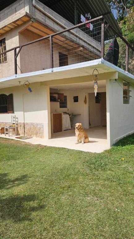 a dog sitting in front of a house at Recanto do major in Petrópolis