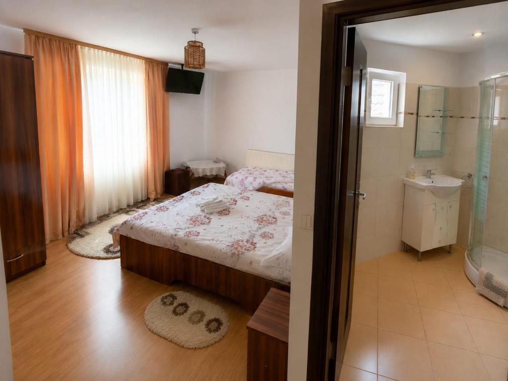 Pensiunea Dimitrie - 