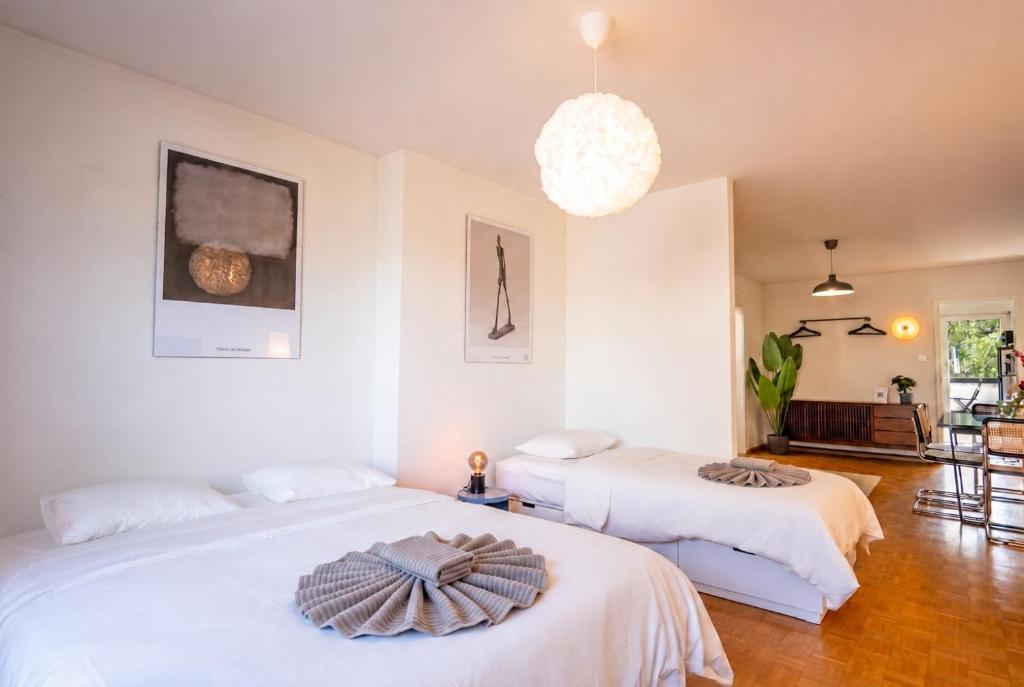 Penthouse with Two Balconies in the Heart of Basel