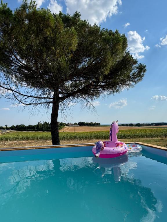 a swimming pool with a pink inflatable toy in front of a tree at Maison sur Coline in Lectoure