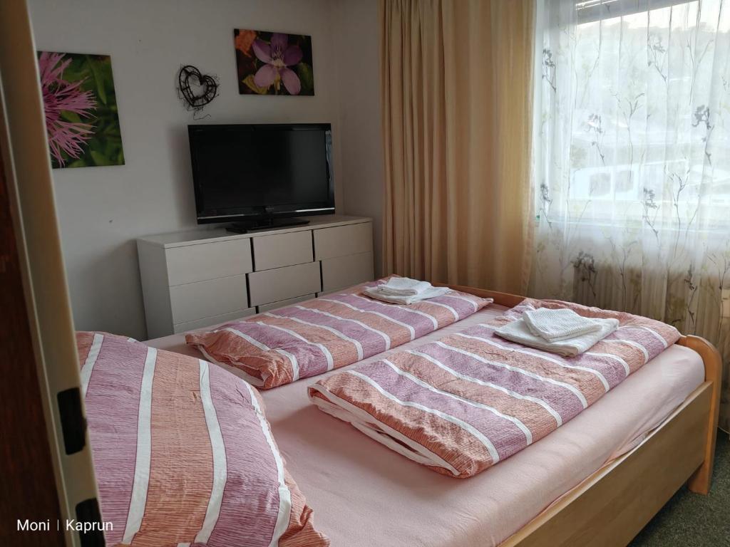 Appartement Moni XXL 55m2