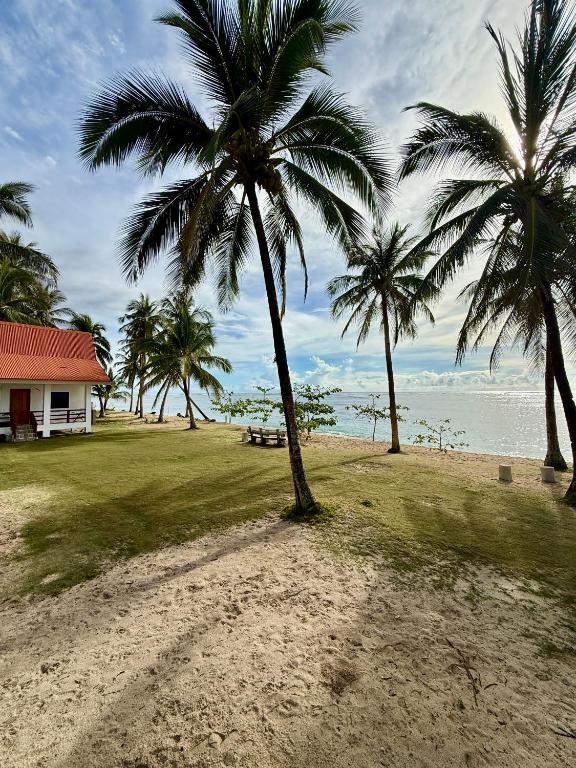 a group of palm trees on a sandy beach at Villa Virtud Beach Resort in Alegria