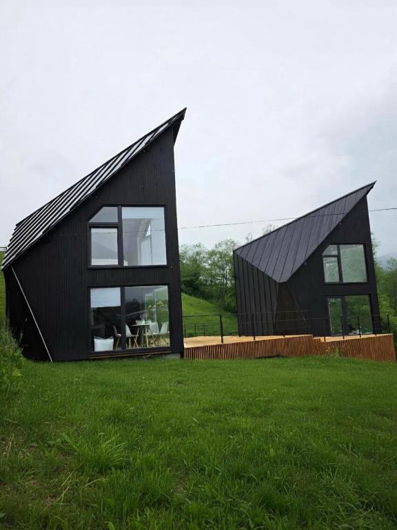 a black house with a black roof on a green field at ArtMi in Lazeshchyna