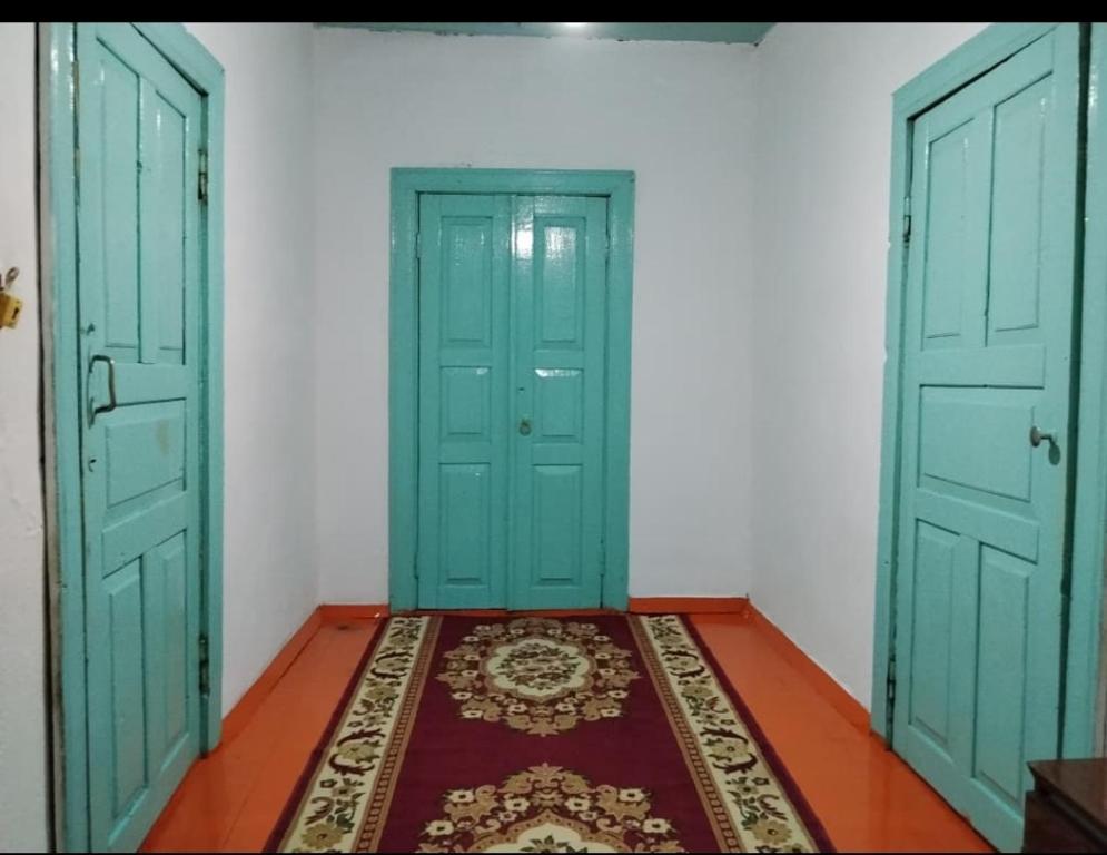 two green doors in a room with a rug at Keremet house in Barskoon