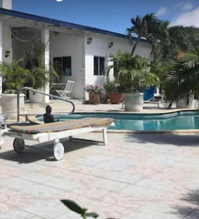 a person sitting on a bed next to a pool at Hostel WAIVING MILL in Oranjestad