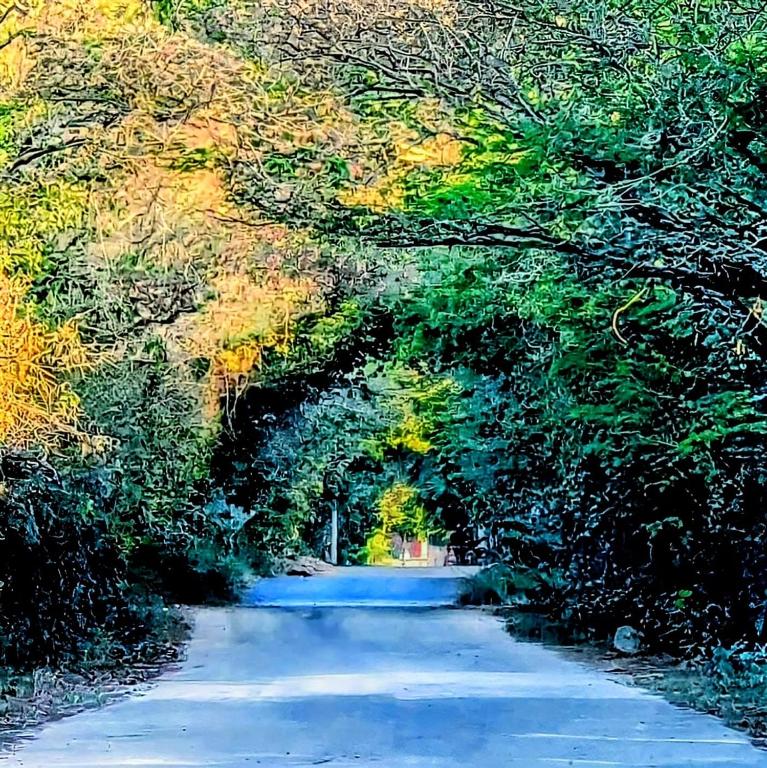a painting of a road with trees on both sides at The Blue Eco Lodge in Valladolid