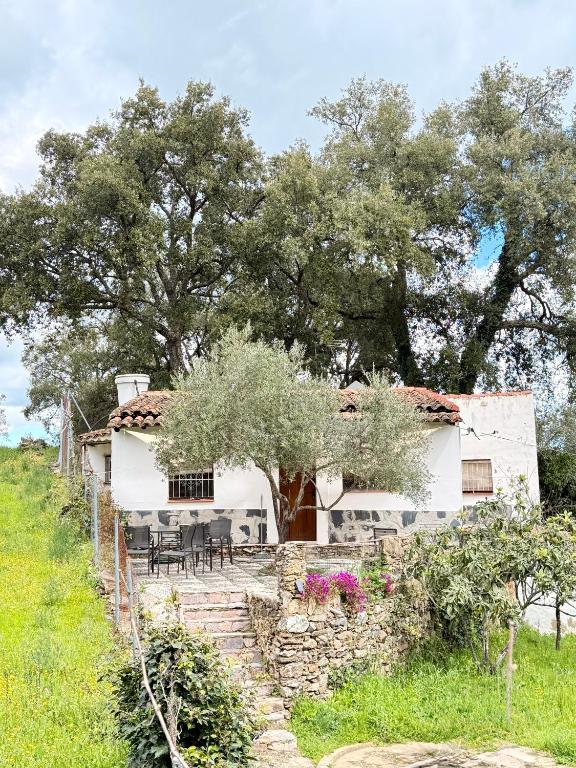 a white house with tables and chairs in front of it at Casa Papiqui in Fuenteheridos