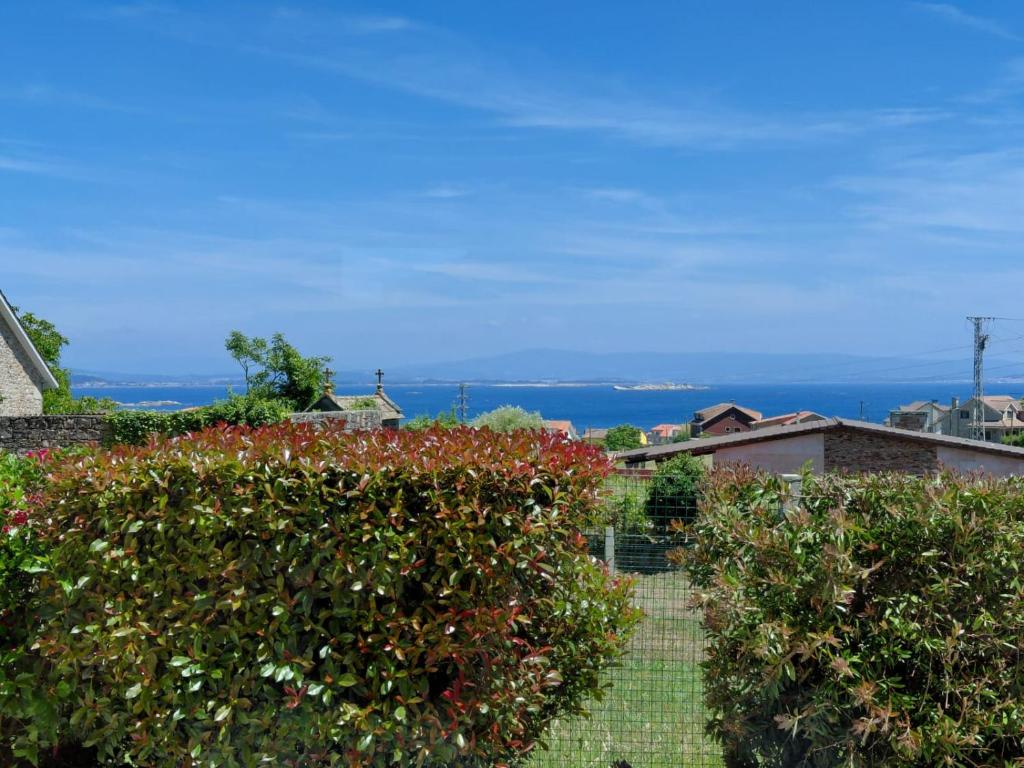 a garden with bushes and a view of the ocean at Al Eu in Ribeira