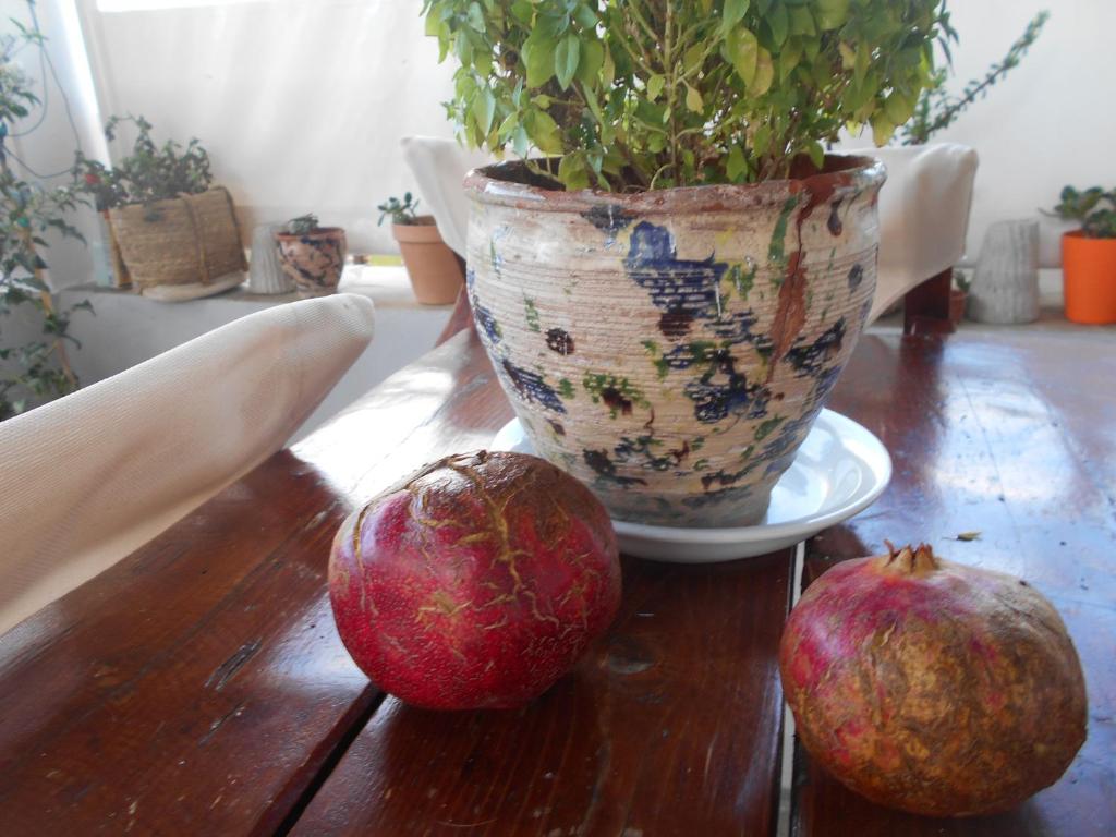 two apples sitting on a wooden table with a vase at PATMOS Mathios Studios- apartments in Patmos