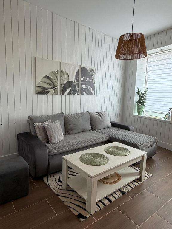 a living room with a couch and a coffee table at Baja's Garden Apartman in Bajina Bašta