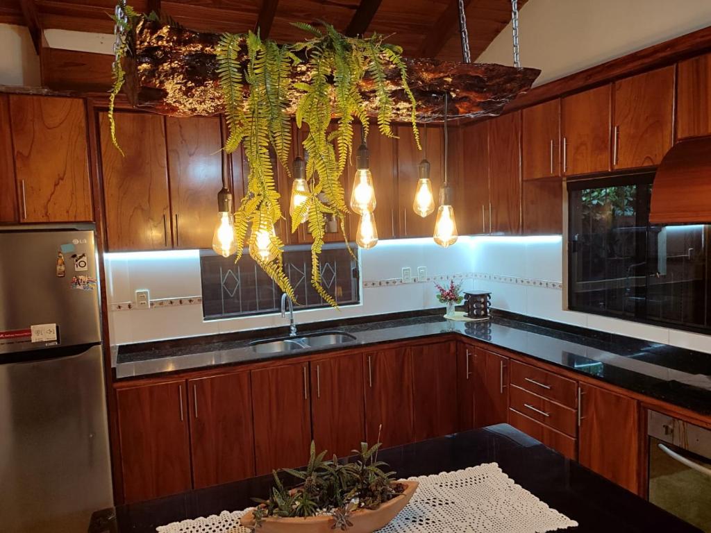 a kitchen with wooden cabinets with plants hanging from the ceiling at Casa con dos Dormitorios in Encarnación