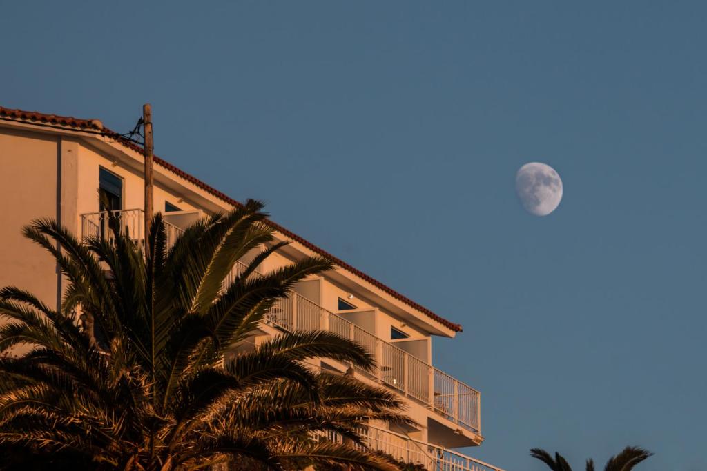 a building with a palm tree and the moon in the sky at OdeSea Aegean Studios in Plomari