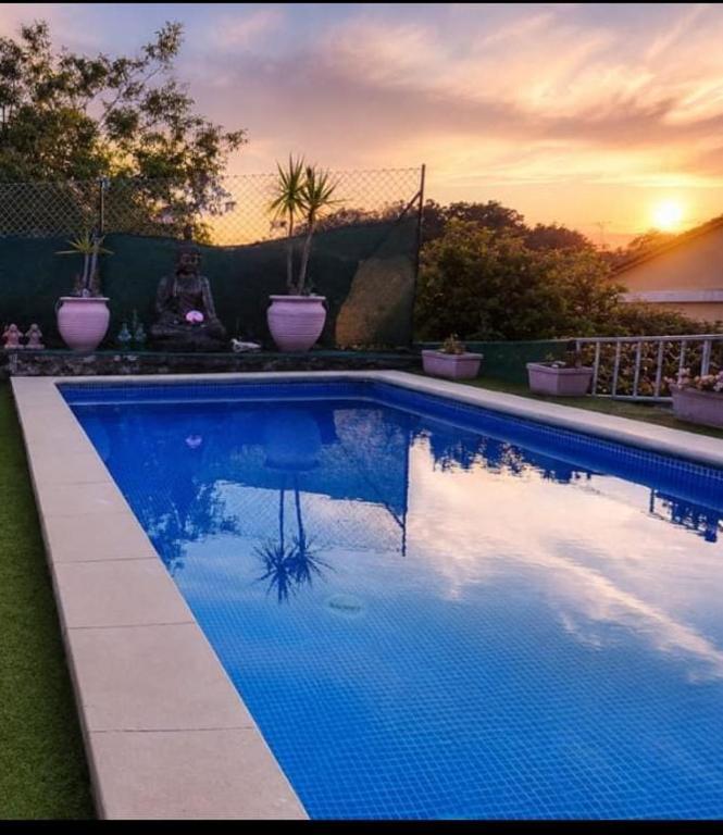a blue swimming pool with potted plants and a sunset at O refuxio do mar in Oia