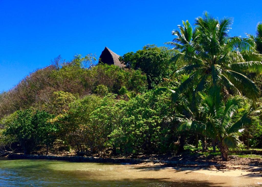 a beach with palm trees and a house in the background at Oneta Resort in Ono Island