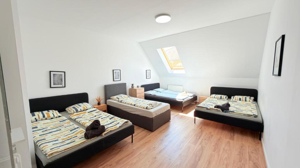 Grand Family Apartment I 11 PAX MZ47
