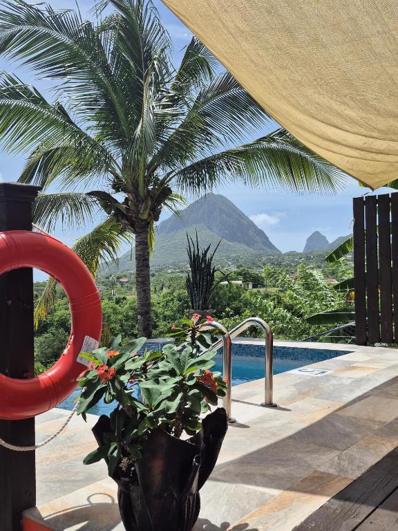 a pool with a palm tree and a plant at Southern Sunset Villa in Choiseul