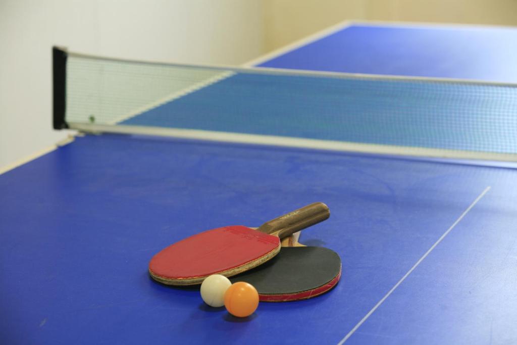 Stolní tenis v ubytování Yudanaka Seifuso nebo okolí