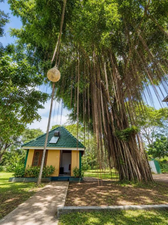 a house with bamboo trees in front of it at Vegas Nature Resort in Dankotuwa