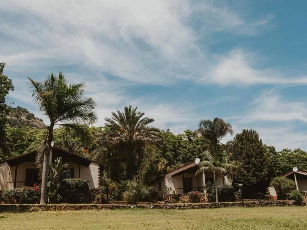 a resort with palm trees and houses in a field at Klipspringer Lodge in Nelspruit